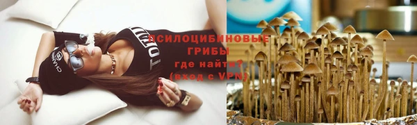 бошки Корсаков