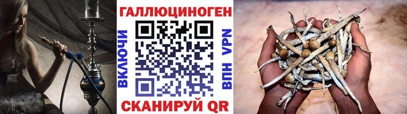 Псилоцибиновые грибы мухоморы Ленск